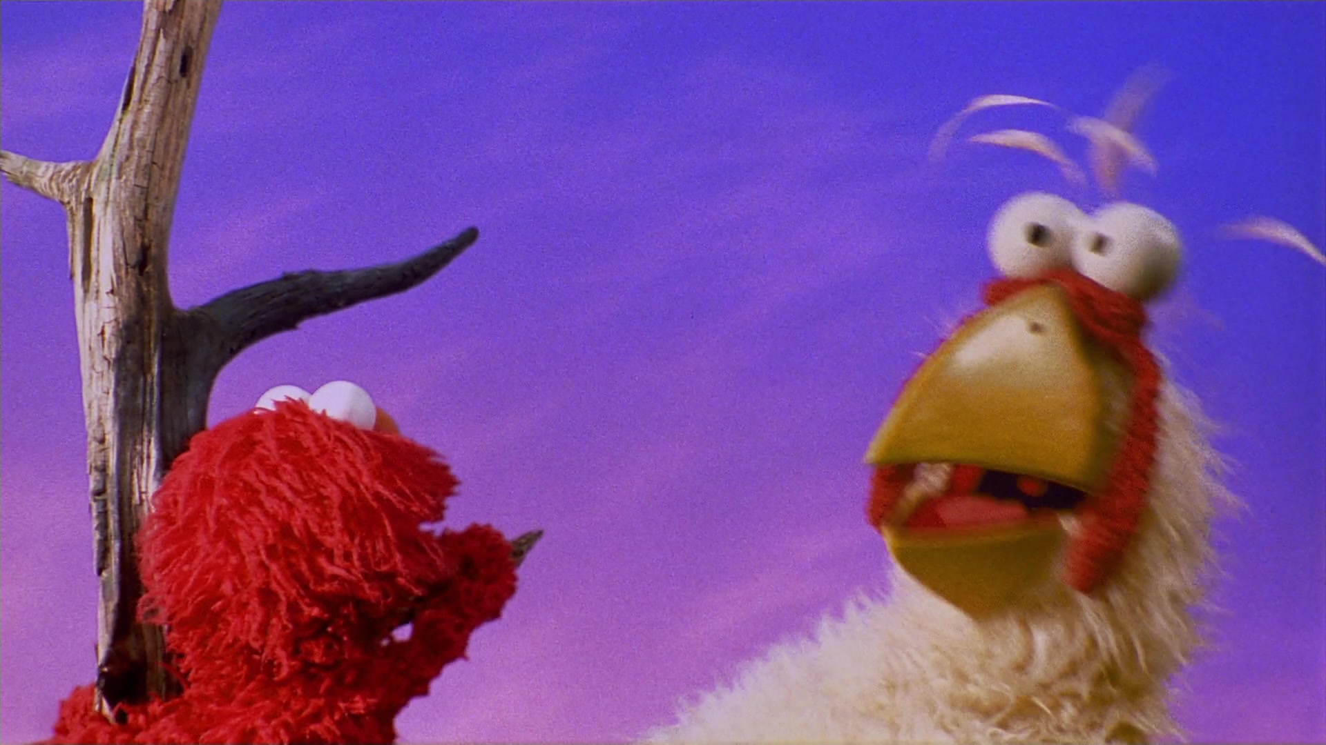 The Adventures of Elmo in Grouchland (1999) Screencap | Fancaps