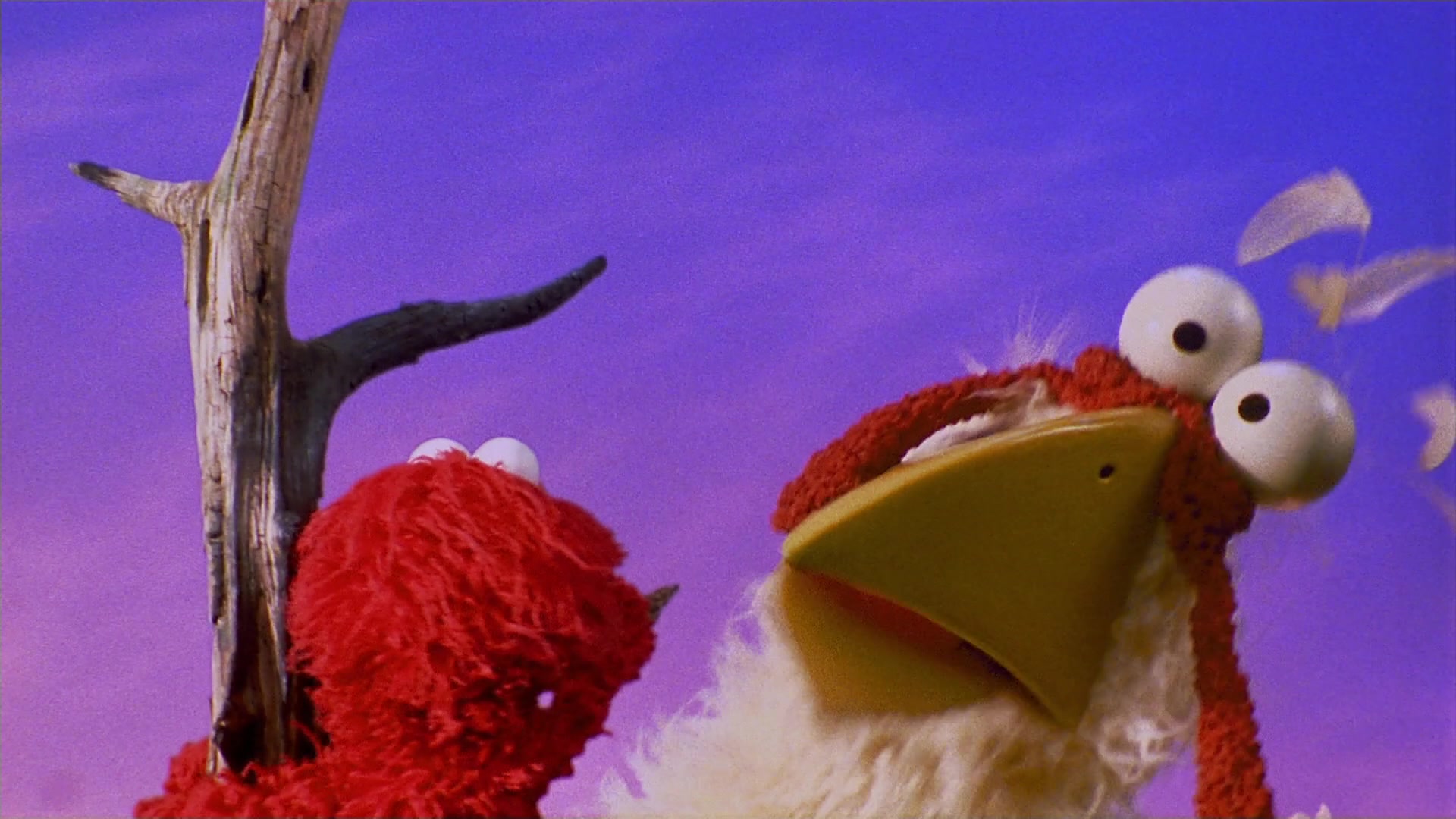 The Adventures of Elmo in Grouchland (1999) Screencap | Fancaps