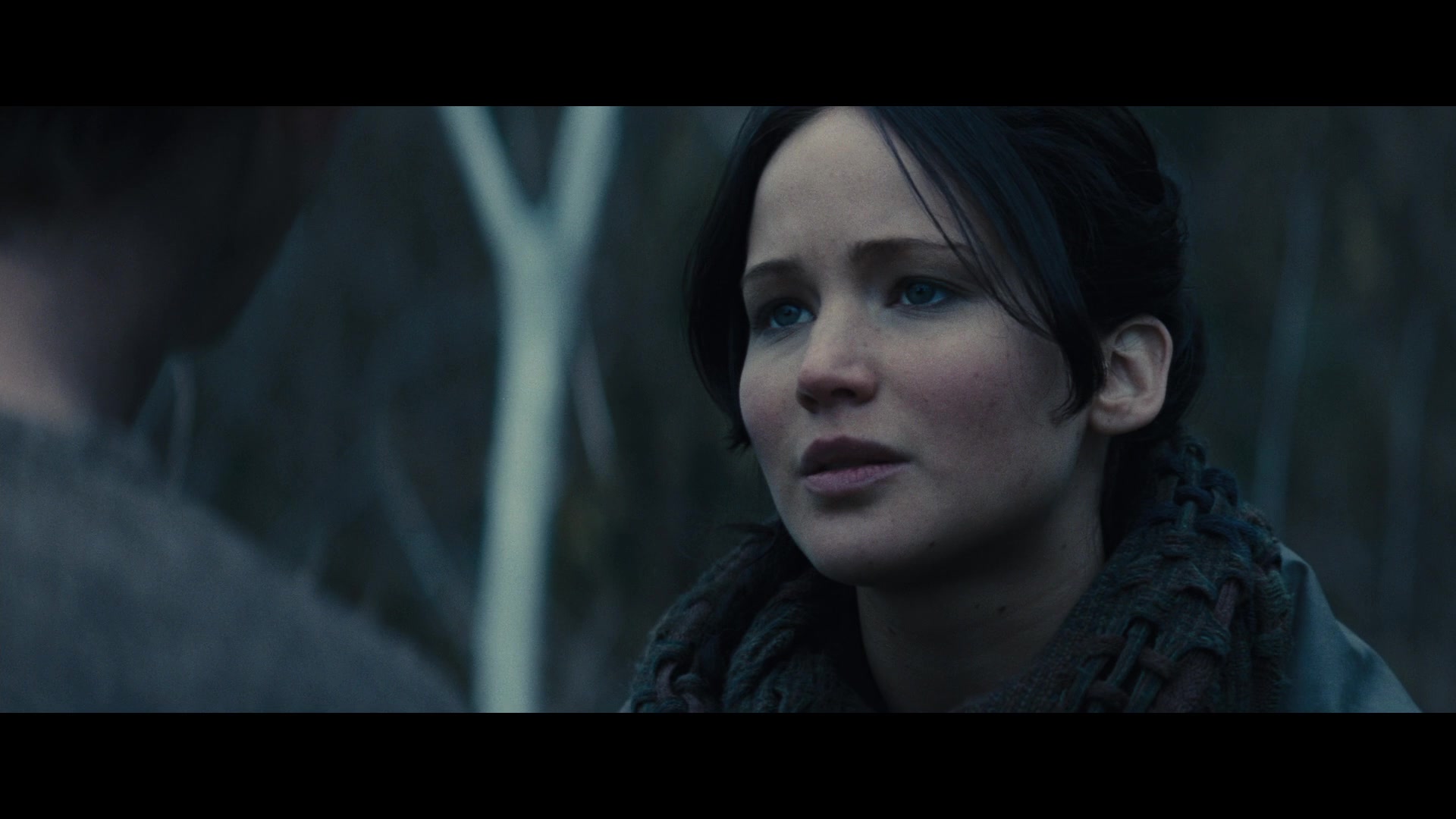 The Hunger Games: Catching Fire Screencap 