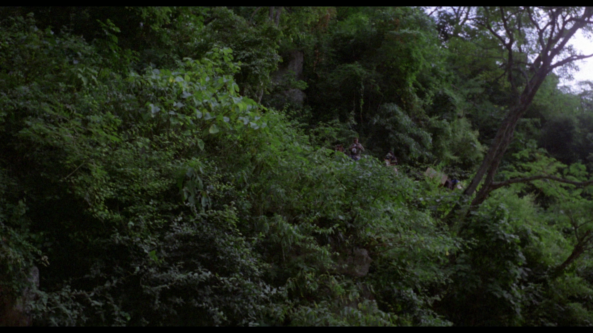 Treasure of the Amazon (1985) Screencap | Fancaps