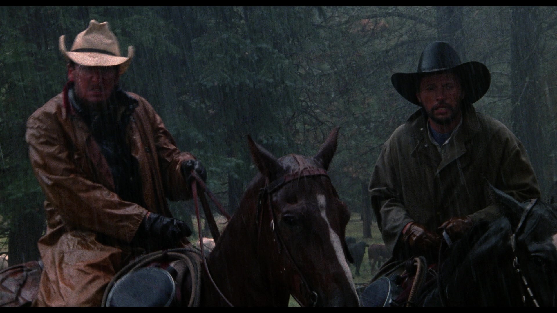 City Slickers (1991) Screencap | Fancaps