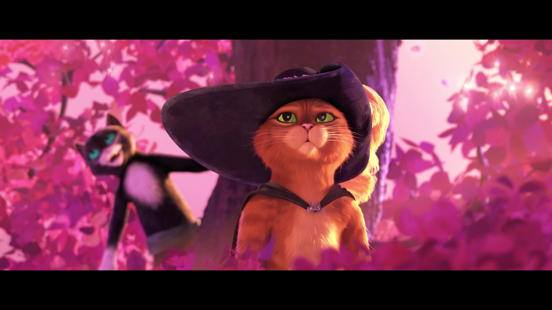 Puss in Boots: The Last Wish (2022) Screencap | Fancaps