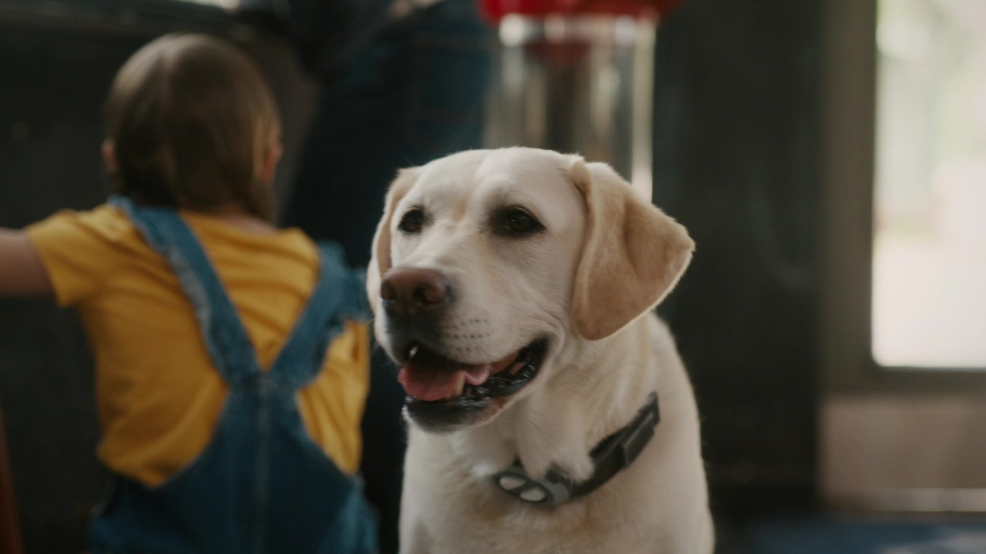 Space Pups (2023) Screencap | Fancaps