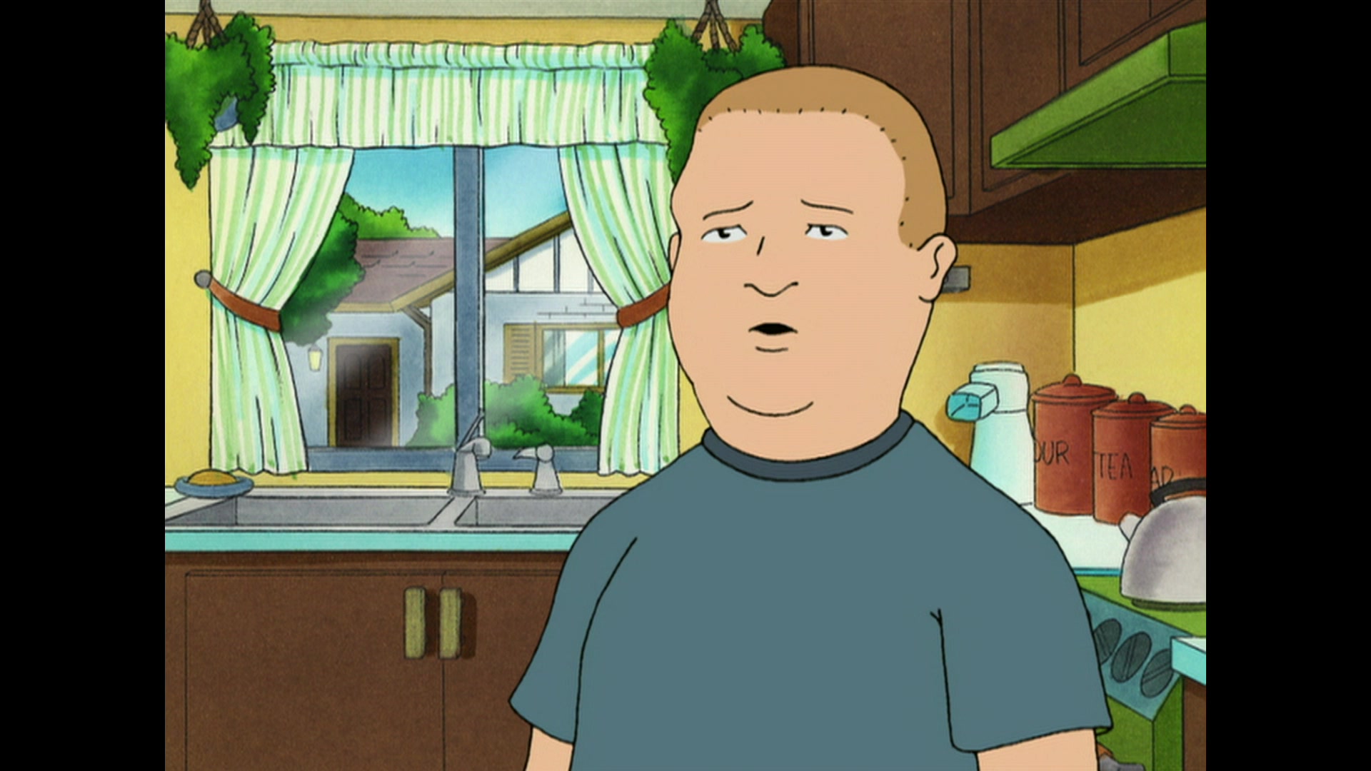 King of the Hill Season 9 Image | Fancaps