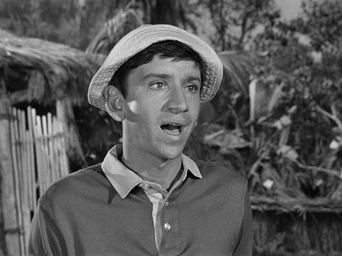 Gilligan's Island Season 1 Image | Fancaps