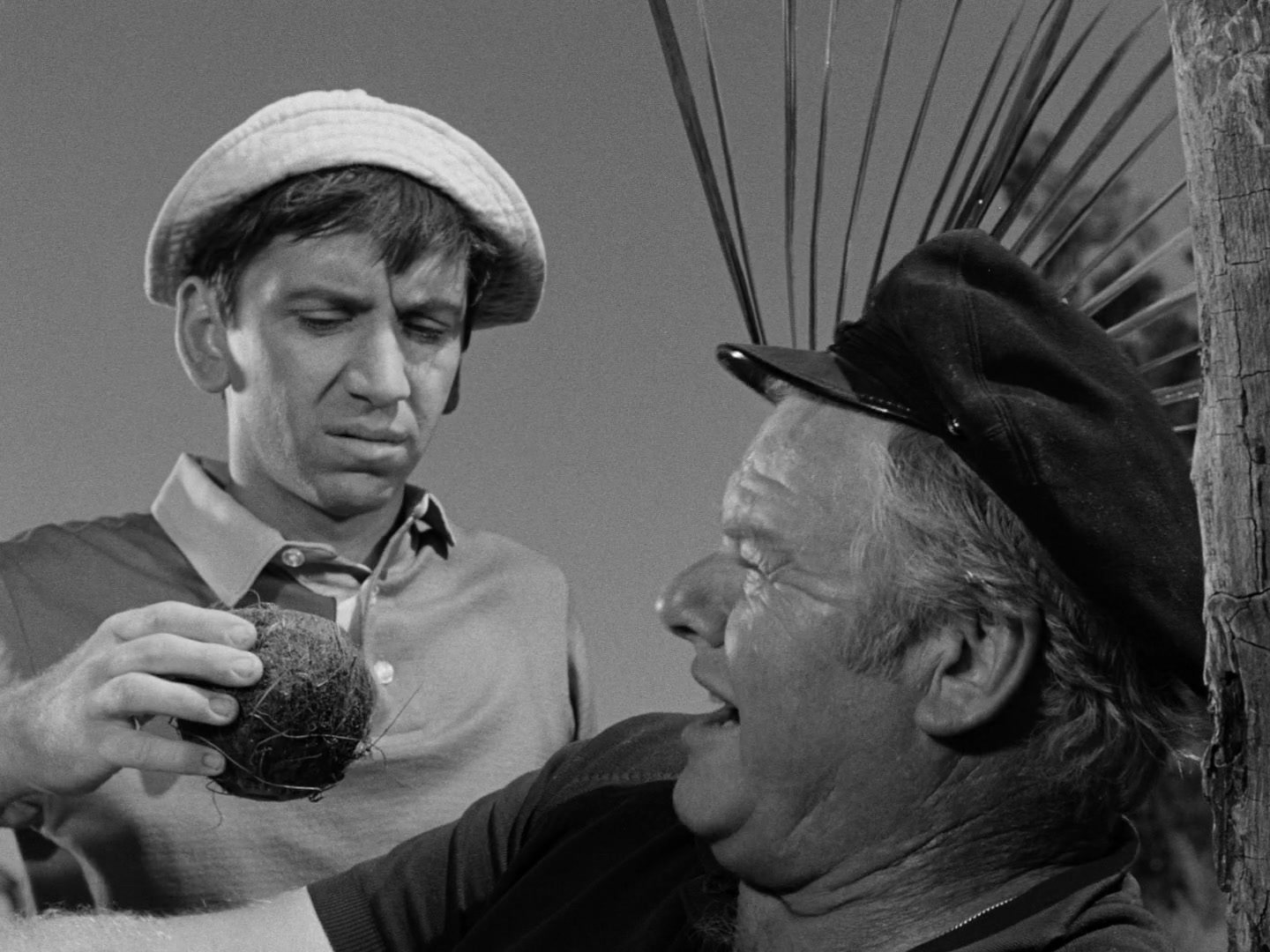 Gilligan's Island Season 1 Image | Fancaps