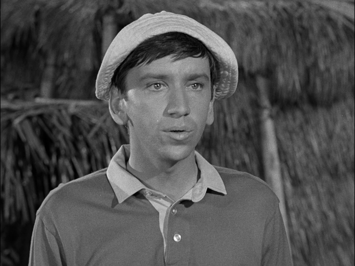 Gilligan's Island Season 1 Image | Fancaps