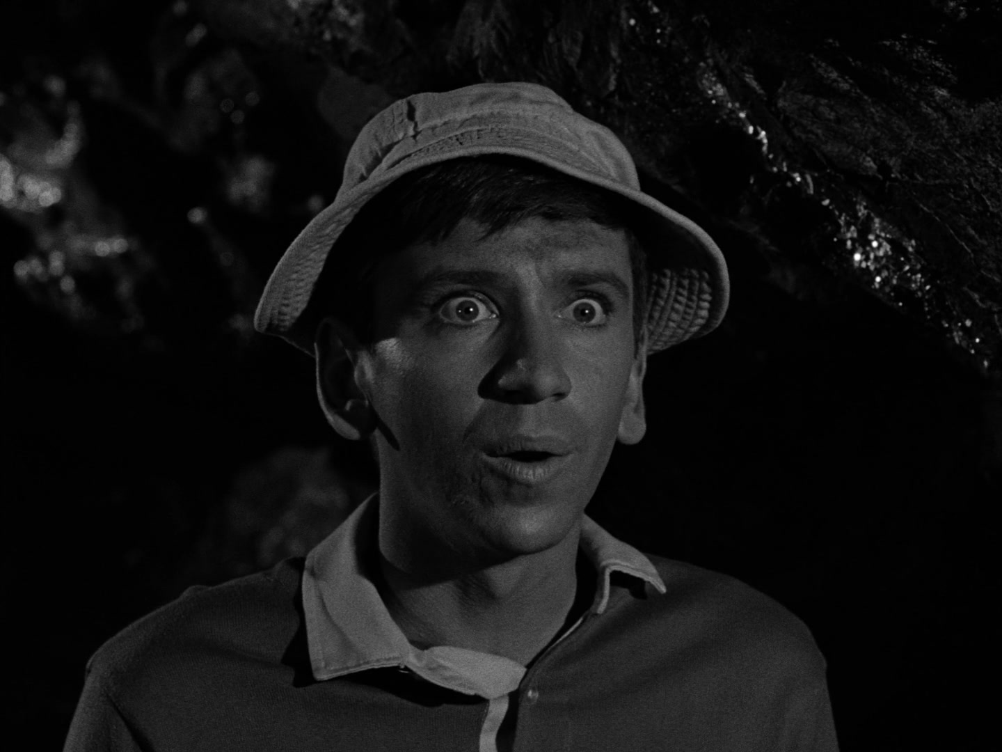 Gilligan's Island Season 1 Image | Fancaps