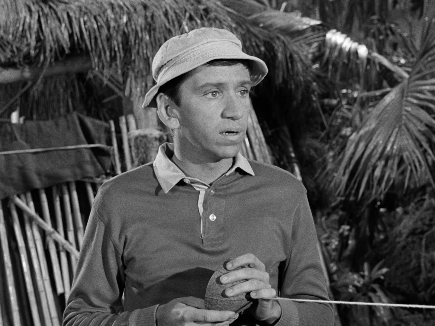 Gilligan's Island Season 1 Image | Fancaps