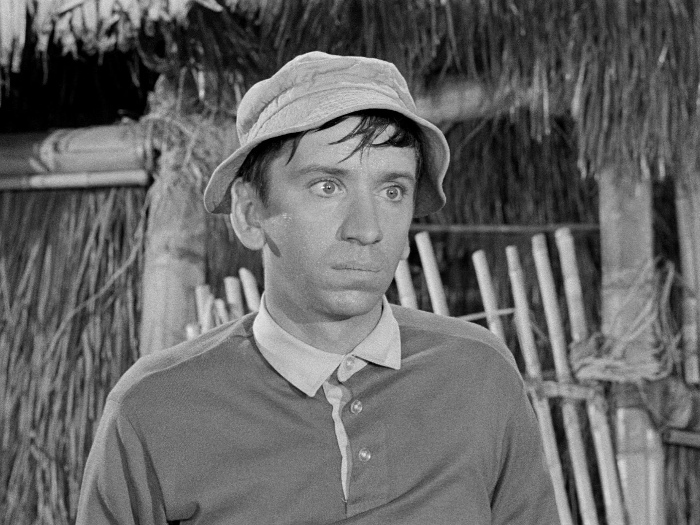 Gilligan's Island Season 1 Image | Fancaps