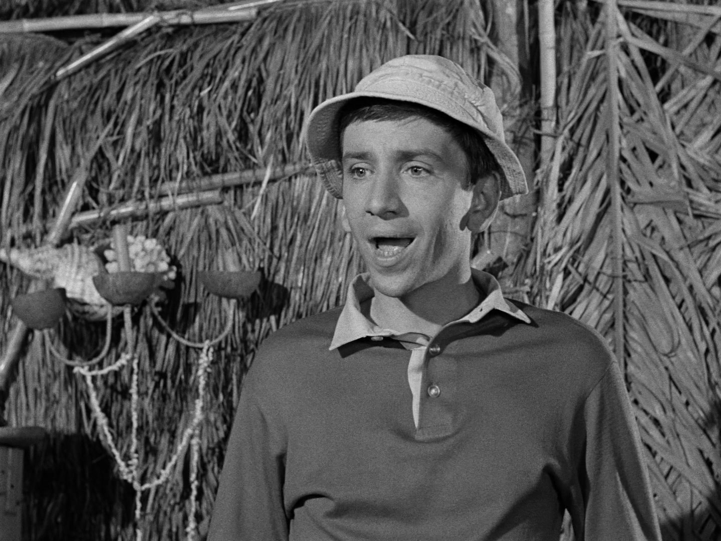 Gilligan's Island Season 1 Image | Fancaps