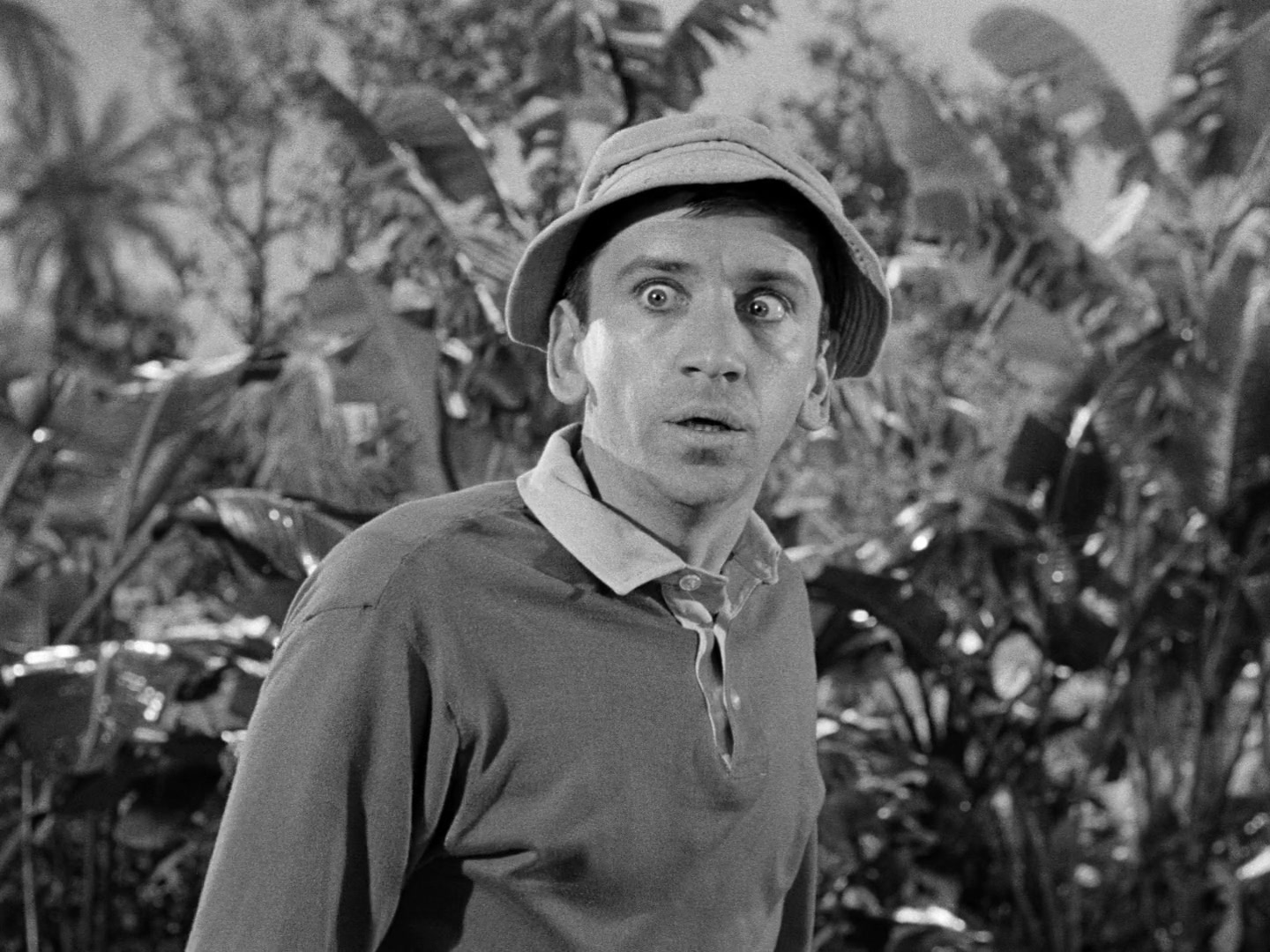 Gilligan's Island Season 1 Image | Fancaps