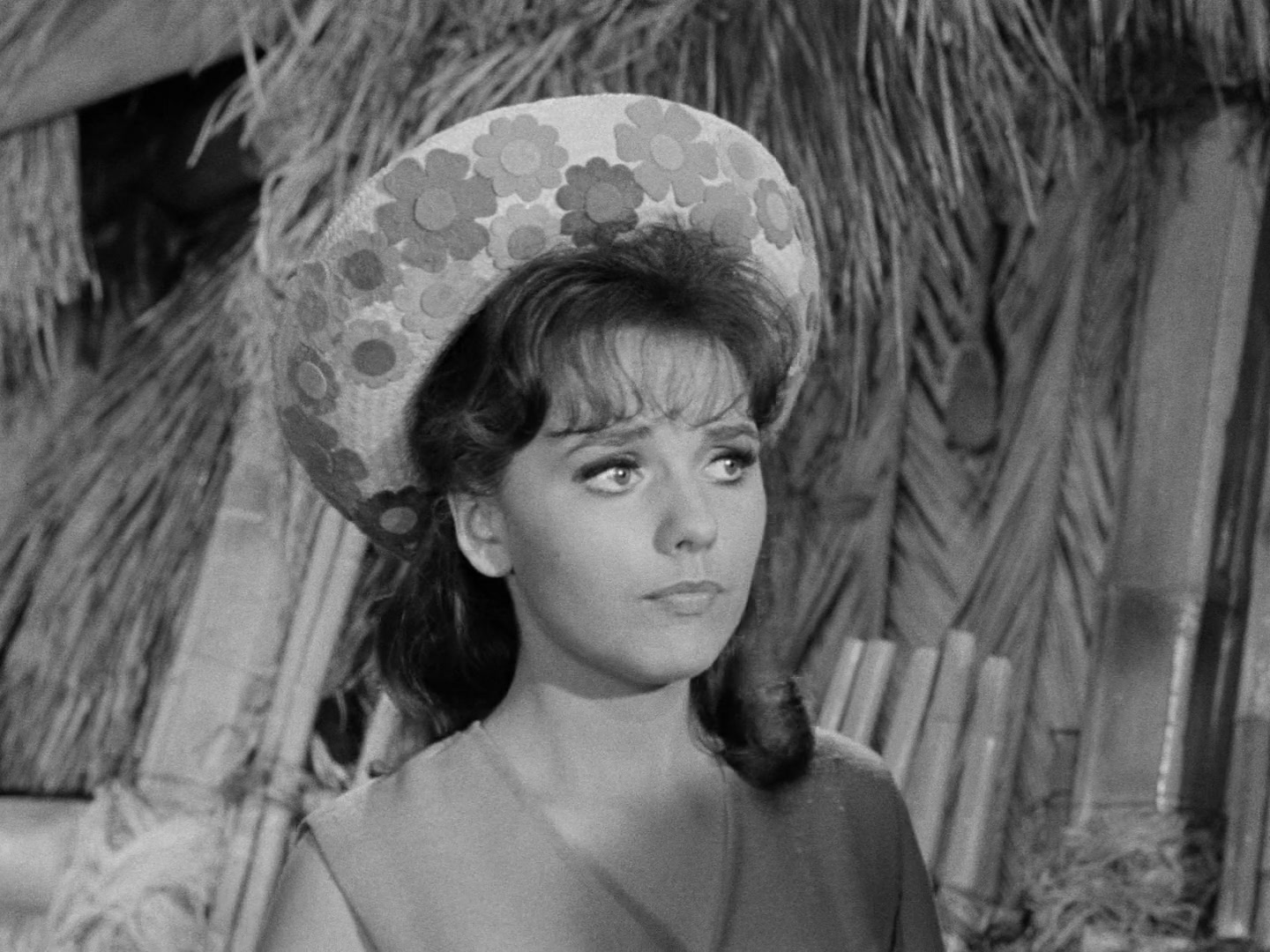 Gilligan's Island Season 1 Image 