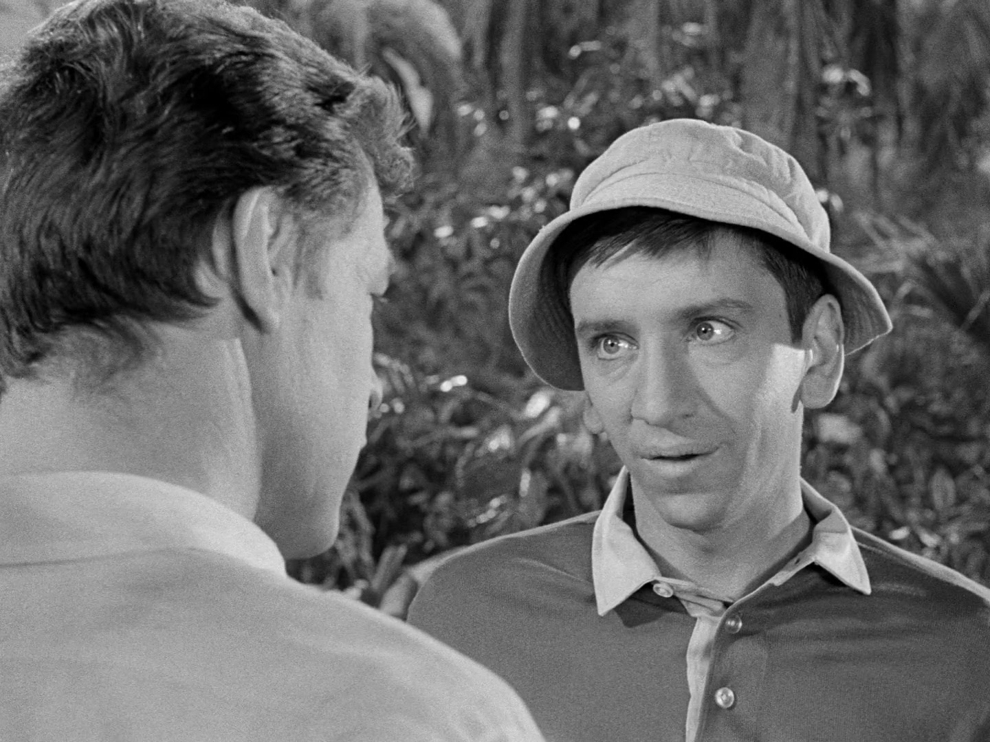 Gilligan's Island Season 1 Image | Fancaps