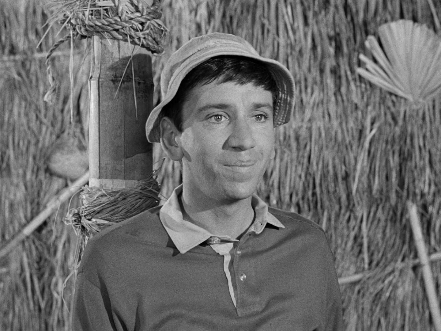 Gilligan's Island Season 1 Image | Fancaps