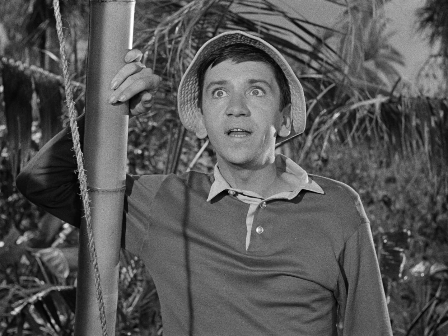 Gilligan's Island Season 1 Image | Fancaps