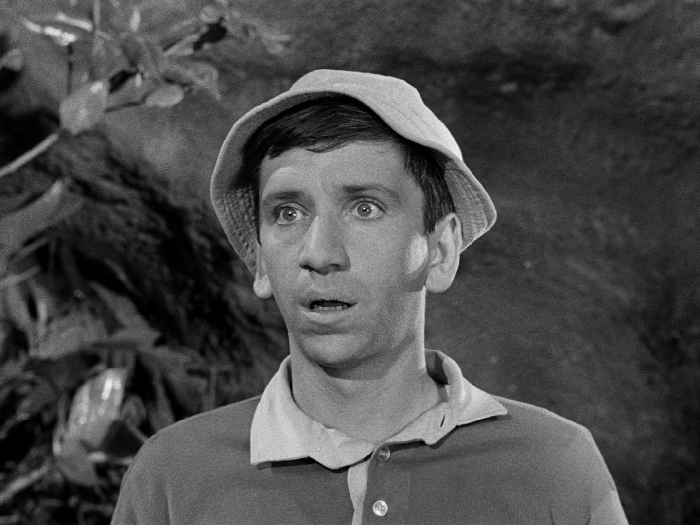 Gilligan's Island Season 1 Image | Fancaps