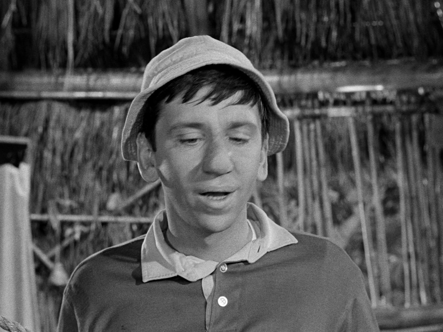 Gilligan's Island Season 1 Image | Fancaps