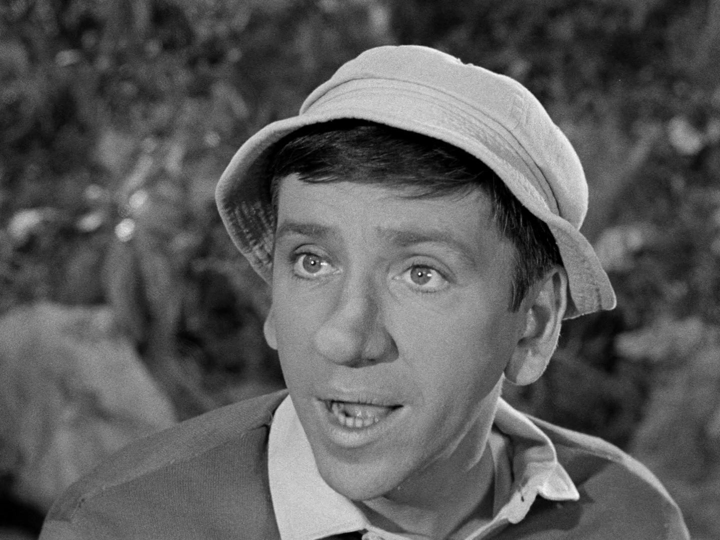 Gilligan's Island Season 1 Image | Fancaps