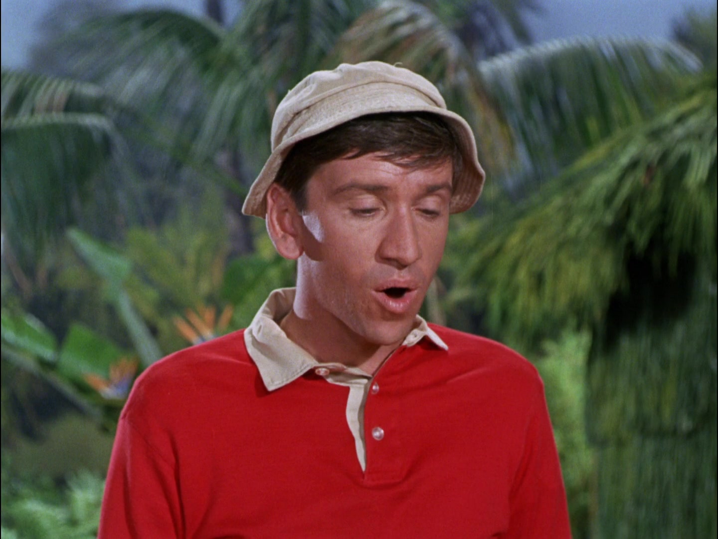 Gilligan's Island Season 2 Image | Fancaps