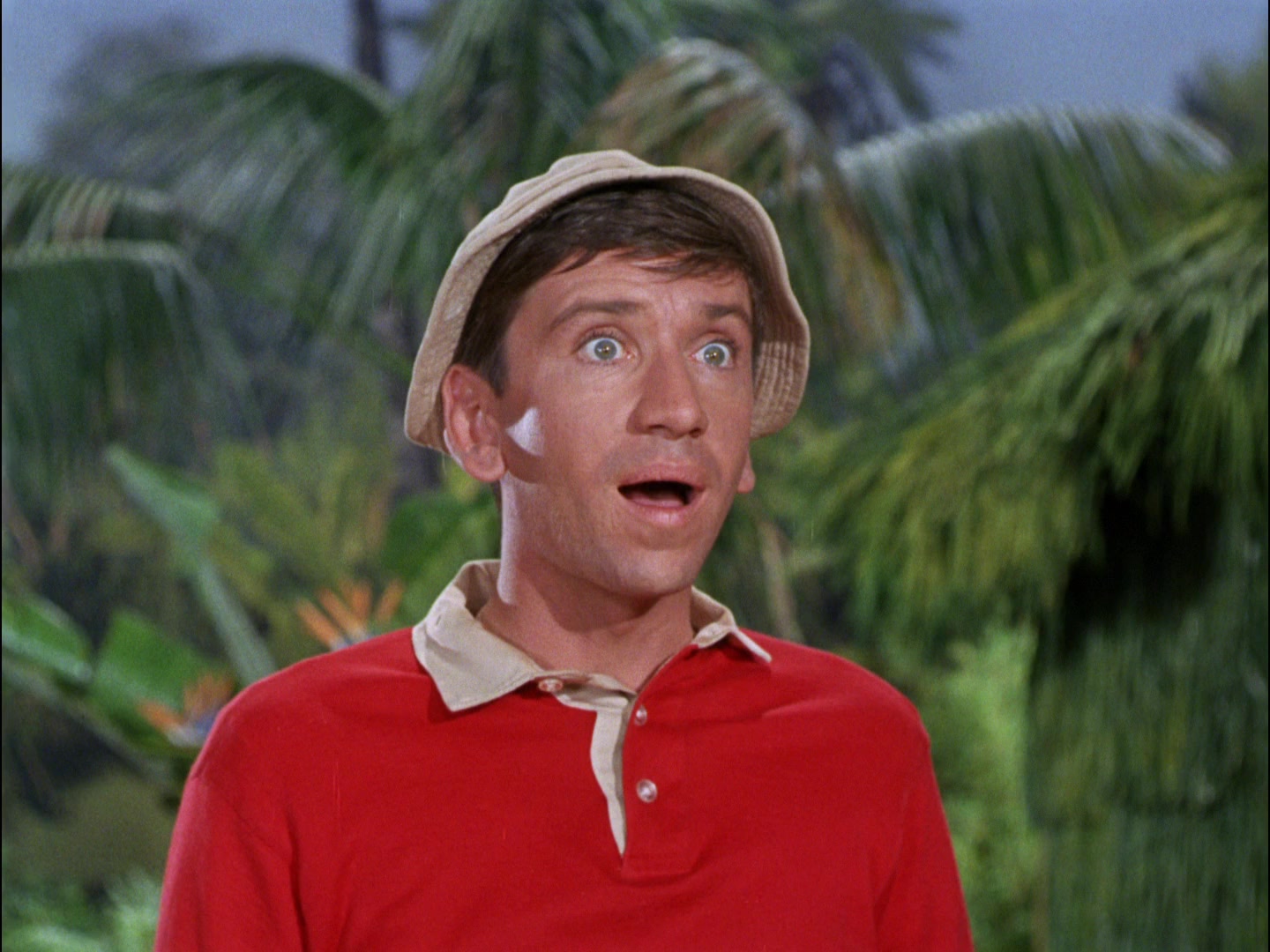 Gilligan's Island Season 2 Image | Fancaps