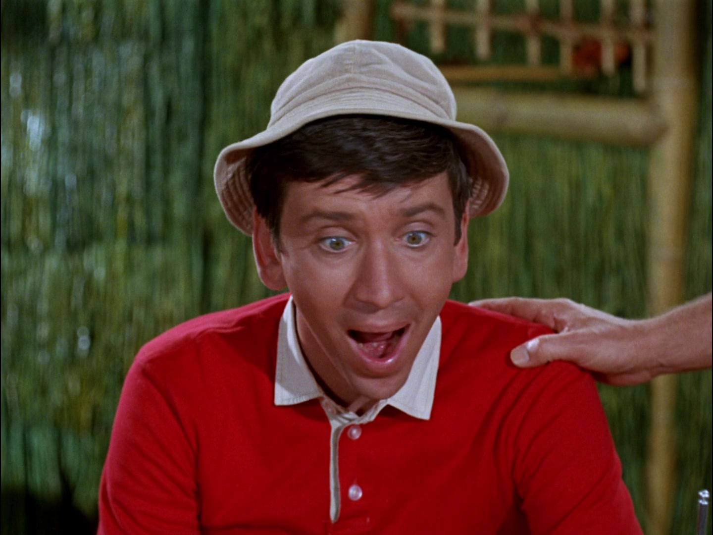 Gilligan's Island Season 2 Image | Fancaps