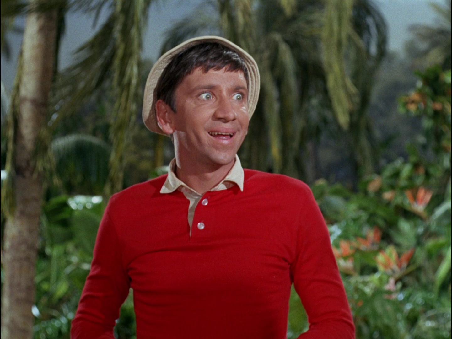 Gilligan's Island Season 2 Image | Fancaps