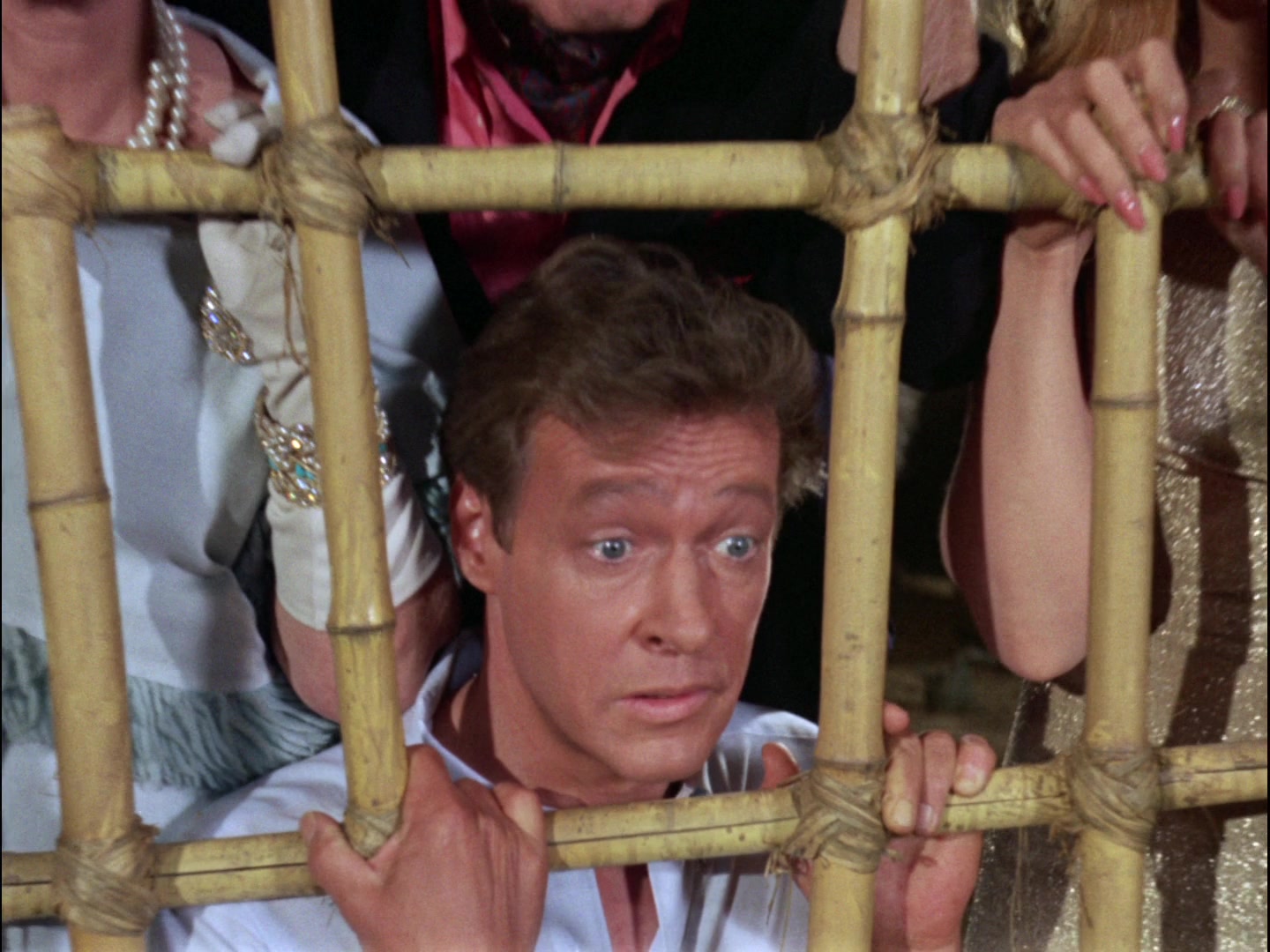 Gilligan's Island Season 3 Image | Fancaps