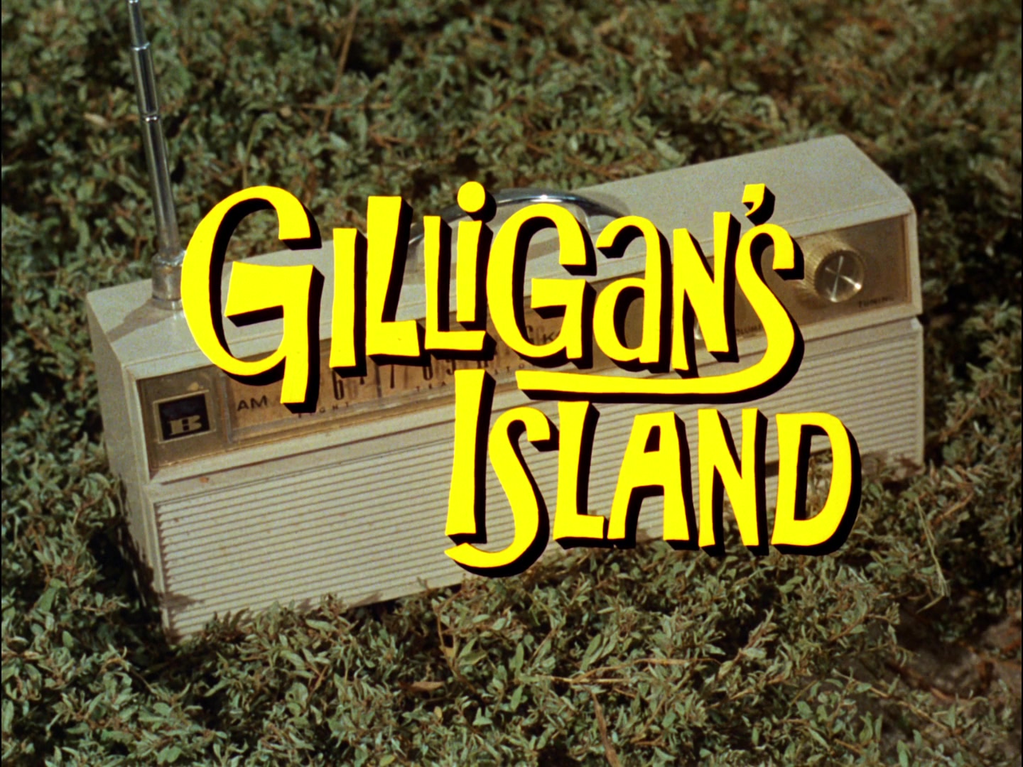 Gilligan's Island Season 3 Image | Fancaps