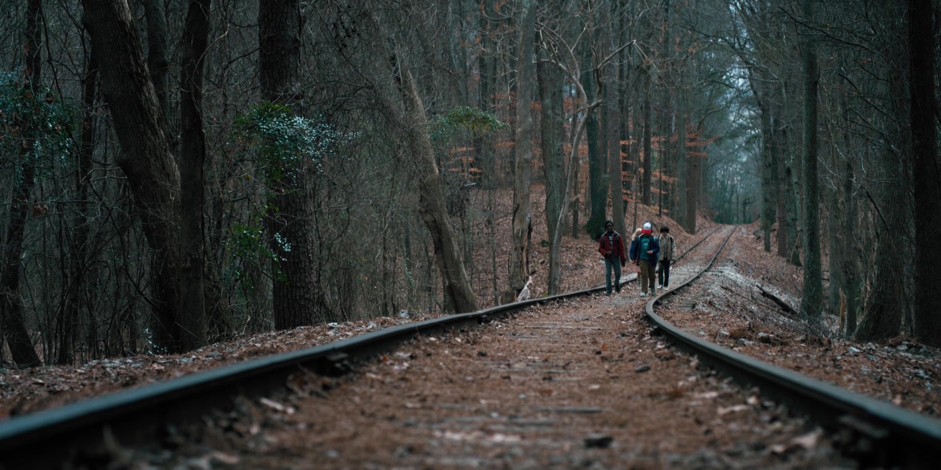 Strange in the woods. Очень странные дела лес. Очень странные дела кадры. Stranger things пейзаж.