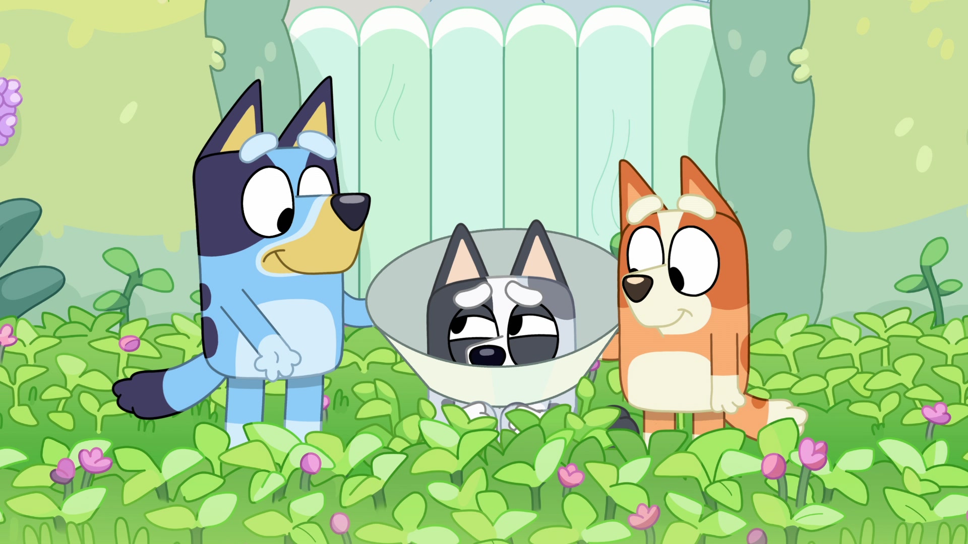 Bluey Season 2 Image | Fancaps