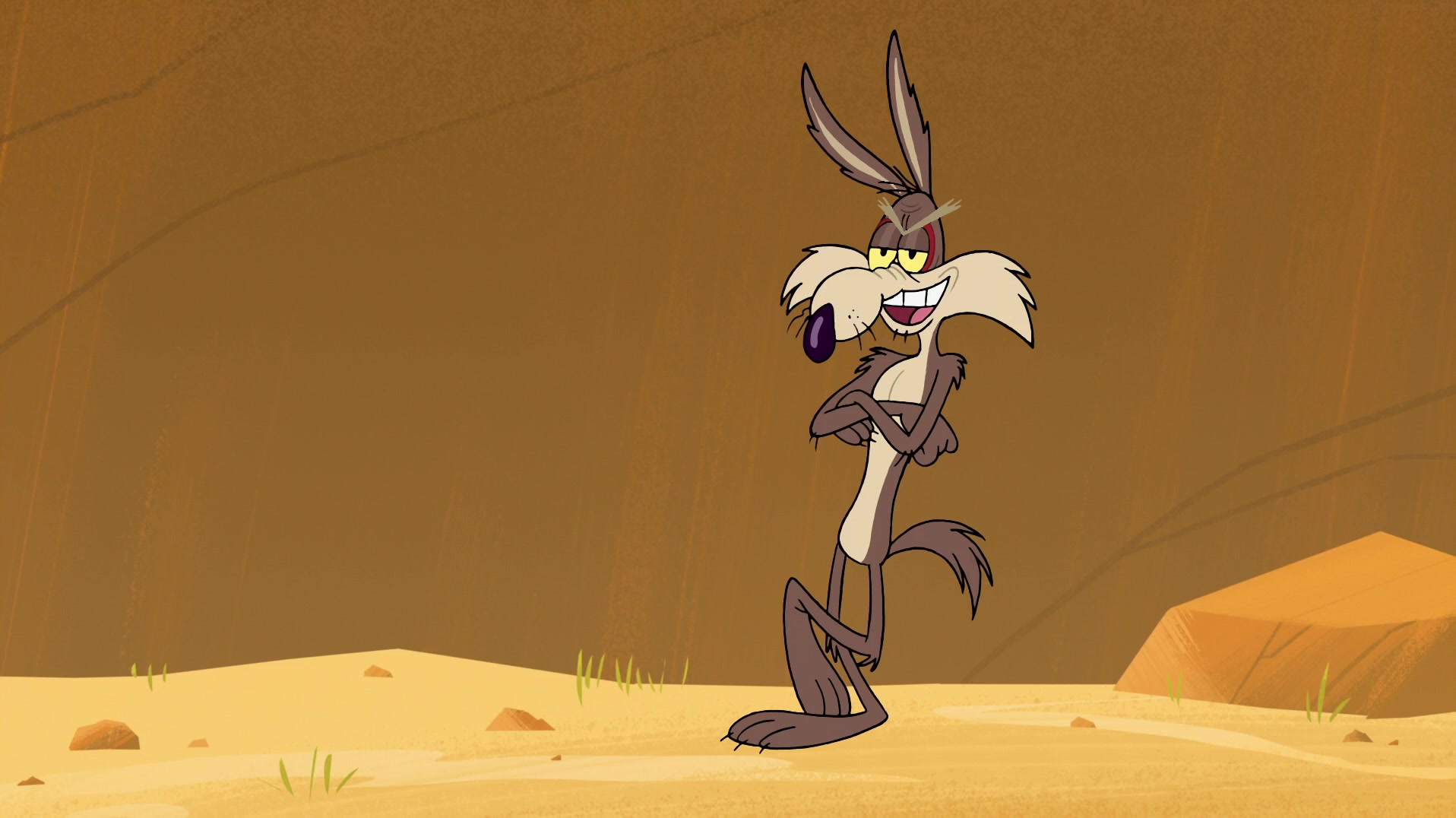 New Looney Tunes Season 1 Image 