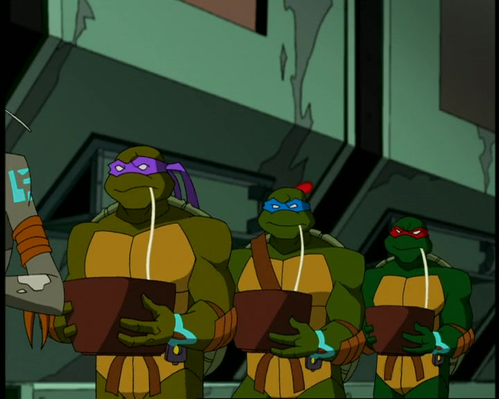 Teenage Mutant Ninja Turtles (2003) Season 2 Image | Fancaps