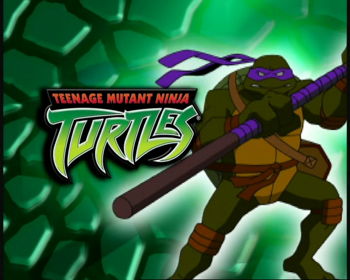 Teenage Mutant Ninja Turtles (2003) Season 3 Image | Fancaps