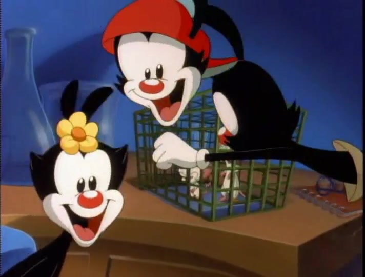 Animaniacs Season 1 Image | Fancaps